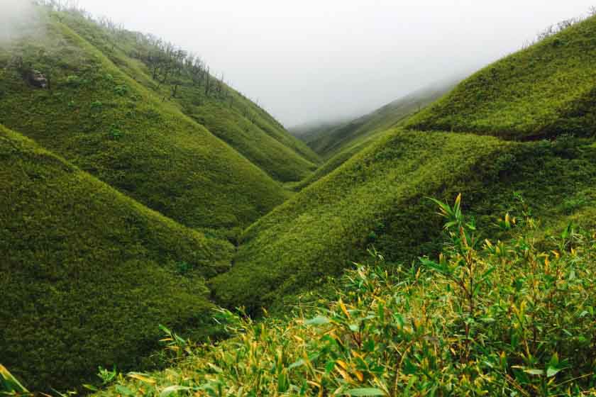 জুকু উপত্যকা